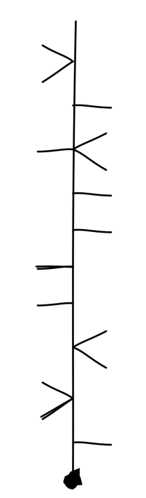 stripkaart-voorbeeld.png