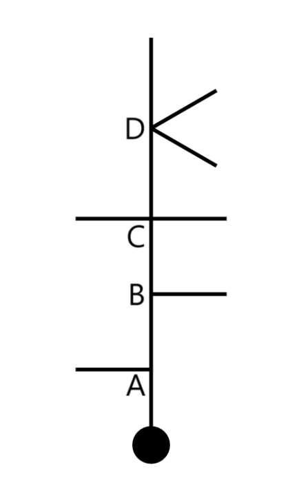 stripkaart-voorbeelden.png